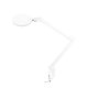 Stalinis LED didinamasis šviestuvas Glow 8021, 12W