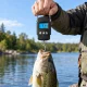 Skaitmeninės pakabinamos svarstyklės bagažui ir žvejybai iki 50 kg su 100 cm juosta