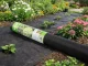 Stora juoda agrodanga 50g 1x10m piktžolių kontrolės mulčiavimo danga