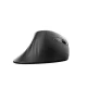 Wozinsky WWM-1076 belaidė vertikali ergonominė pelė 3600 DPI, juoda