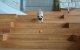 Cheerble Ball Sensor Play Ball Toy for Dog Cat, Orange