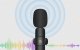 Puluz PU3151B Wireless Lavalier Microphone (2 pcs), USB-C, Black