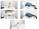 Pet Dog Dryer Blower Bag