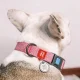 Waudog Classic Dog collar with QR code size M, Pink