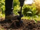 Garden Auger Drill Bit for Planting Earth Hole Borer 25cm, Black