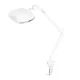 Elegante 6030 Kosmetologinė lempa-lupa su stalo tvirtinimu 60 LED