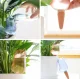 Bird-Shaped Plant Waterer for Flower Pots, Blue