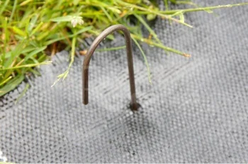 Metaliniai smeigtukai agroplėvelei tvirtinti J formos 15 cm, 10 vnt.