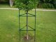 DIVODV Triangular Plant Support, 120 cm, Green