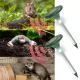 Ultrasonic Mole and Rodent Repeller with Solar Battery and LED Lighting, 2pc.