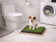 Puppy Training Toilet with Artificial Grass, 3 Layers, 63x43 cm