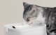 Petlibro Dockstream gertuvė-fontanas augintiniams su belaidžiu siurbliu, 2.5L