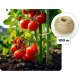 Plonos Polytunnel Greenhouse 10x6.5 ft šiltnamis-tunelis