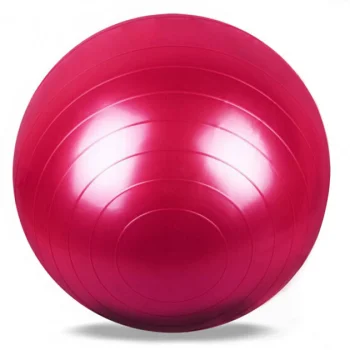 Gimnastikos kamuolys su pompa 65cm, raudonas