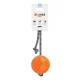 Rubber Ball on a Rope Interactive Chew Toy for Dogs, Liker Cord 9 Waudog