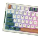 Belaidė mechaninė žaidimų klaviatūra Royal Kludge RKH81 RGB, žalia