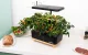 RainPoint hidroponinė auginimo sistema Z238 (Wooden Base)