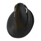 Delux M618 Mini belaidė ergonominė vertikali pelė
