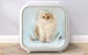 Homerunpet PD50 Intelligent Hair Dryer for Pets Cats Dogs, white