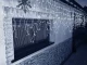 LED lempučių užuolaida 300 LED, 10 m, jungiama, šaltai balta
