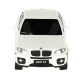 RC Car Model with Remote, BMW X6 (1:24)