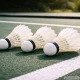 Plunksniniai badmintono sviedinukai, 3 vnt., balti