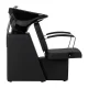 Kirpyklos plautuvė Hair System Edge Noir su kėde, juoda
