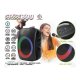 Rebeltec Stage 300 nešiojama Bluetooth kolonėlė, juoda