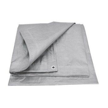 Brezentinis uždangalas 6 × 10 m, 120 g/m², sidabrinis