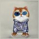 Nimmy Crossbody Glasses Cool Cat rankinė per petį, pilka