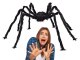 Giant Spider Tarantula Halloween Decoration XXL, Black