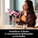 LEGO Botanicals 10374 Rausvų rožių puokštė