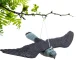 Bird and Rodent Repeller – Falcon Predator Decoy XXL