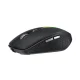 Belaidė pelė Wozinsky WMGK-1132 su RGB apšvietimu, juoda