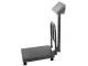 Electronic Platform Scale with Backrest 100kg LCD, Grey