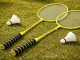 Badminton Racket Set 2 Pack with Carrying Cover, Green