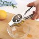 Stainless Steel Citrus Squeezer, Silver