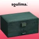Papuošalų dėžutė-organizatorius, žalios spalvos
