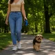 Automatinis pavadėlis šunims 5m, iki 15kg