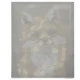 Painting by Numbers - 40x50cm, Fox