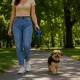 Automatinis pavadėlis šunims 5m, iki 15kg