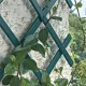 TENAX TREPLAS dekoratyvinės išplečiamos plastikinės grotelės augalams, 1 x 2 m, rudos