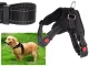 Strong No-Pull Dog Harness with Handle Lightweight S