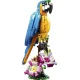 Lego Creator 31136 Exotic Parrot konstravimo rinkinys