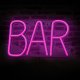 Forever Light Bat Neon Sign LED Wall Decor Light FLNE24, Pink