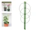 Apskrita atrama augalams ir gėlėms, 60 cm, žalia