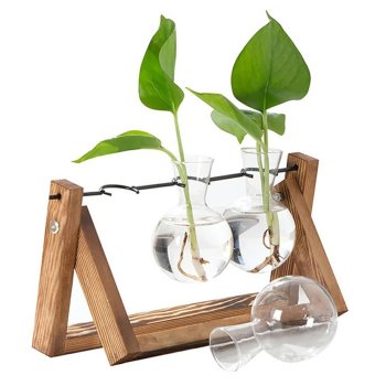 Hydroponic Vase Plant Propagation Station with Wooden Stand