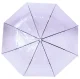 Permatomas automatinis skėtis BQ13C, violetinis