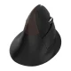 Delux M618 Mini belaidė ergonominė vertikali pelė