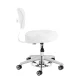 Kosmetologinė kėdė-taburetė Azzurro 156-F Bump-Up, balta